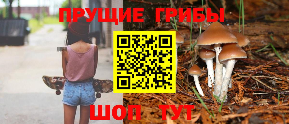 Псилоцибиновые грибы GOLDEN TEACHER Обь