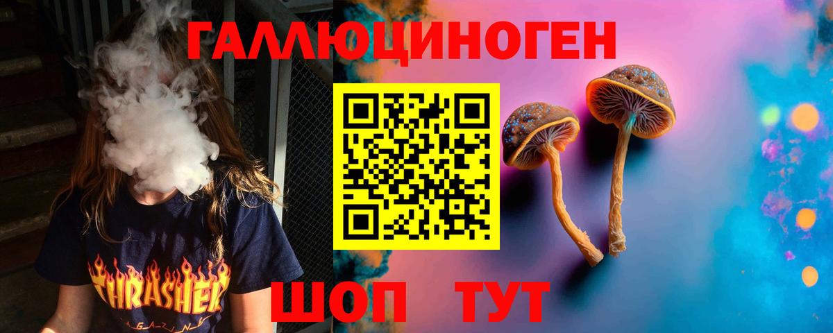 Обь  Псилоцибиновые грибы Cubensis  Вход с VPN  Галлюциногенные грибы Psilocybe 